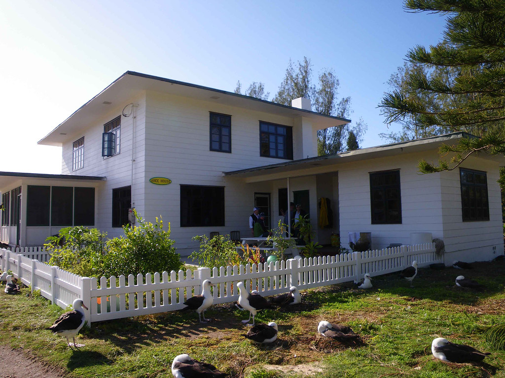 Réfection de toiture d'une maison angevine